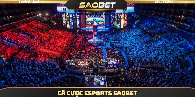 Cá Cược Esports SAOBET