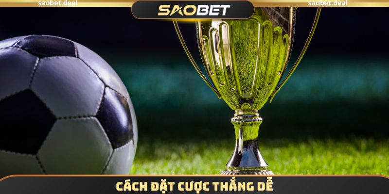 Cách đặt cược thắng dễ