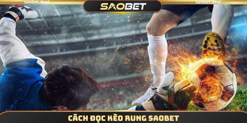 Kèo Rung SAOBET - Hướng Dẫn Chơi Cược Thể Thao Đơn Giản 3 Cách đọc Kèo Rung SAOBET