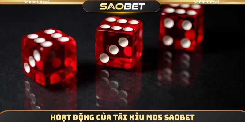 Hoạt động của Tài xỉu MD5 SAOBET