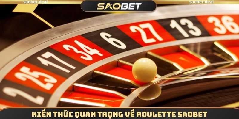 Roulette SAOBET - Vòng Quay May Mắn Hấp Dẫn Nhất Thị Trường 3 Kiến thức quan trọng về Roulette SAOBET