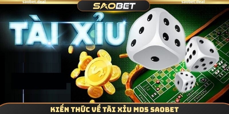 Kiến thức về Tài xỉu MD5 SAOBET