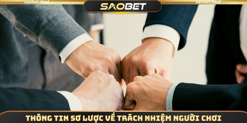 Trách Nhiệm Người Chơi SAOBET - Nghĩa Vụ Cần Phải Hoàn Thành 1 Thông tin sơ lược về trách nhiệm người chơi