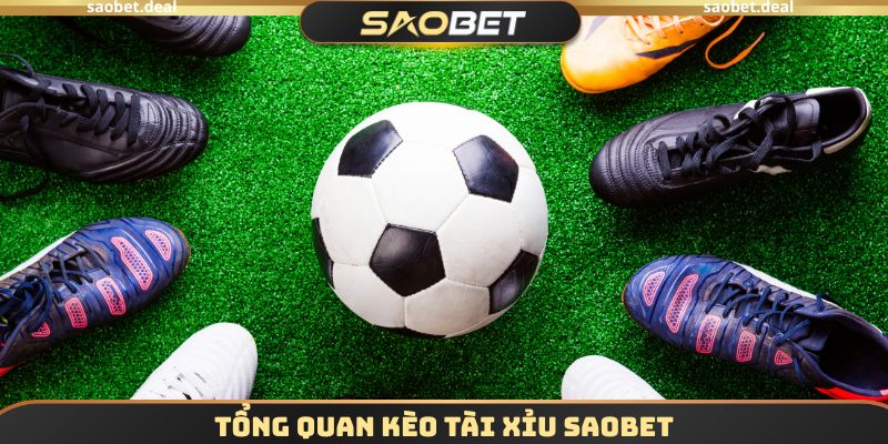 Kèo Tài Xỉu SAOBET - Dự Đoán Chuẩn Xác Chiến Thắng Dễ Dàng 2 Tổng quan kèo tài xỉu SAOBET