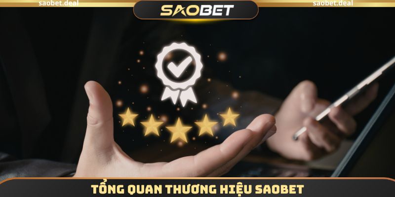 Nhà Cái SAOBET Có Uy Tín Không - Đánh Giá Từ Chuyên Gia 2 Tổng quan thương hiệu SAOBET